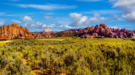 The Red Sandstone Mountains viewed from the Kolob Terrace Road as it winds its way to the 8,000 ft altitude of the Kolob Plateau in Zion National Park, Utah, United States
