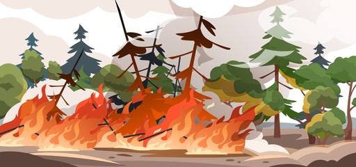 Forest fire. Burning spruces and oak trees, wood plants in flame and smoke, nature disaster cartoon illustration. Vector poster flame in nature outdoor, save environment from burn woods