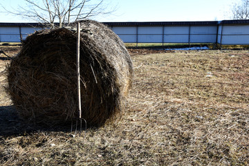 A haystack in the form of a roller, pitchforks stand near it, the sun shines brightly on the street. Early spring food for animals dry grass in the form of hay and straw.