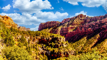 Fototapeta premium Sunrise over the red rocks of Timber Top Mountain in the Kolob Canyon part of Zion National Park, Utah, United Sates. Viewed from the Timber Creek Lookout at the top of the East Kolob Canyon Road