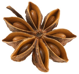 anise isolated on white background