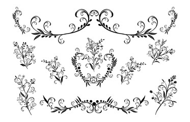Beautiful hand drawn floral vector collection