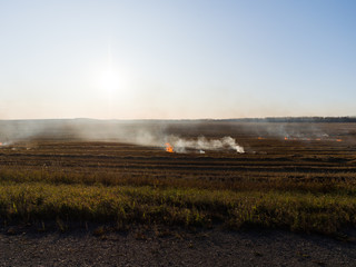 On rural fields after harvesting straw is burned. Fields are preparing for new crops