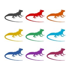 Lizard color icon set isolated on white background