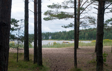 Lahemaa Estonia, view of Baltic coastline view through tree trunks 