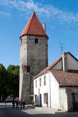 Fototapeta na wymiar Tallinn Estonia, street scene with tower of old city wall