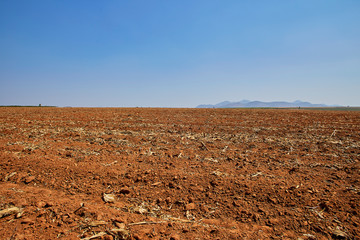 Sugarcane plantations in Thailand