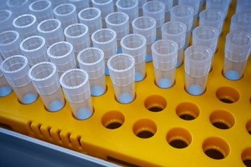 Eppendorf tube in orange plastic rack for micropipette: 0.3 ml