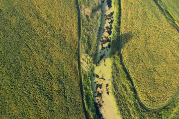 farm field, view from above