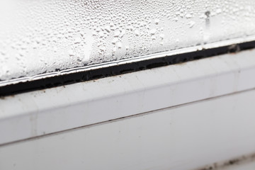 mold on a foggy plastic window of white color. Close-up