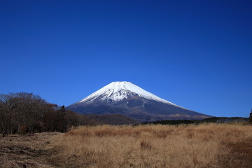Fototapeta premium Autumn, the year’s last, loveliest smile.