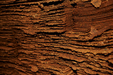 Soy sauce lees at soy sauce factory 