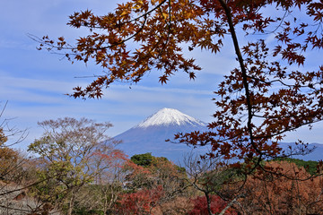 In autumn, hiking is probably the most rewarding way to see the beautiful nature areas of Japan. 