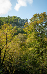Summer landscape - mountains, forest, clouds