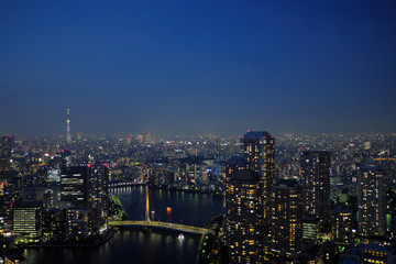 Fototapeta na wymiar 東京の隅田川俯瞰夜景