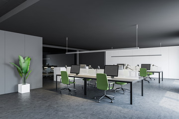 Consulting company open space office