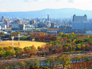 Fototapeta na wymiar 大阪城天守閣からの風景