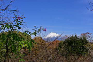 In autumn, hiking is probably the most rewarding way to see the beautiful nature areas of Japan. 