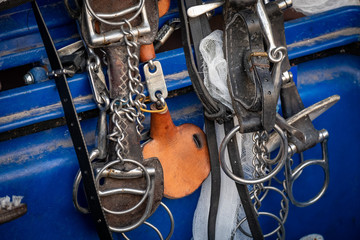 équipement du cheval © Dominique VERNIER