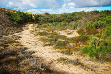 Fototapeta na wymiar Walking through the dunes of Les Landes. France