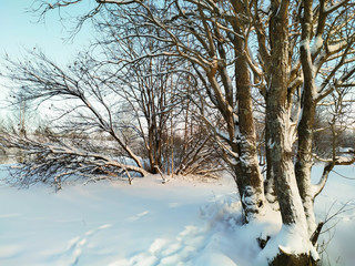 Russia.Karelia.Sunny winter day.December.2019.
