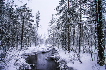 Russia.Karelia.The river flows in the winter forest.December.2019.