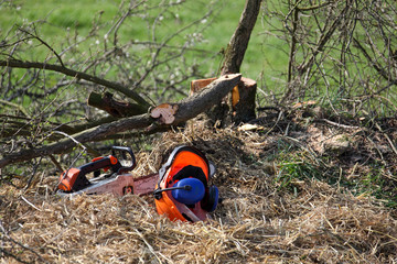 tronçonneuse et matériel d'élagage