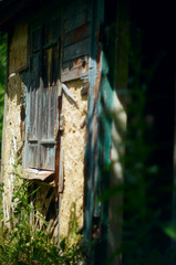 wooden house in the forest