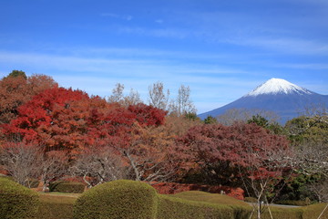 In autumn, hiking is probably the most rewarding way to see the beautiful nature areas of Japan. 