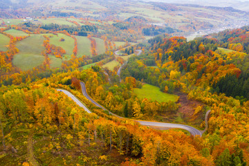 Panoramic autumn view of road