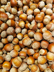 heap of hazelnuts on white background