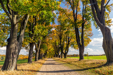 Poland main attractions