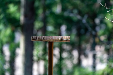 バードサンクチュアリー