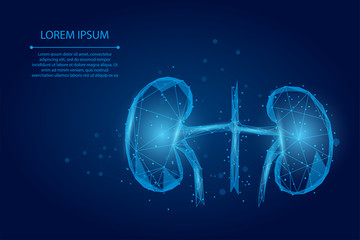Abstract mash line and point human kidneys. Urology system medicine treatment low poly vector illustration