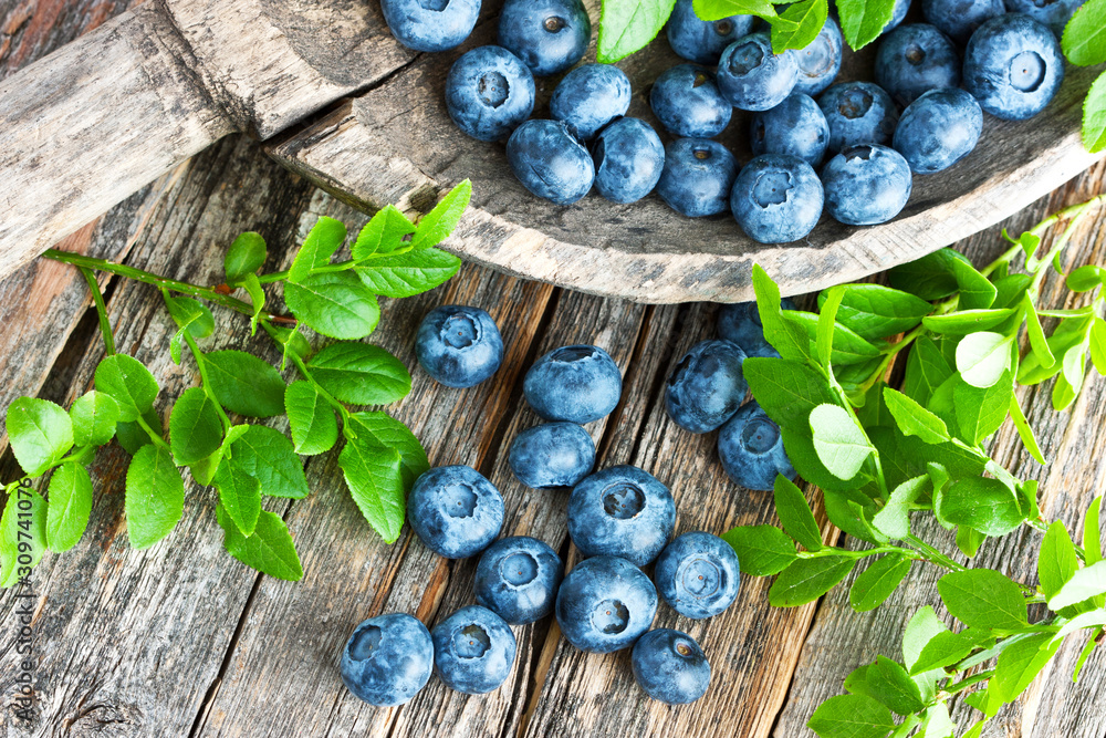 Wall mural blueberry, antioxidant organic superfood