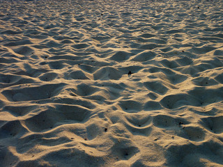 sand on the beach at sunset background