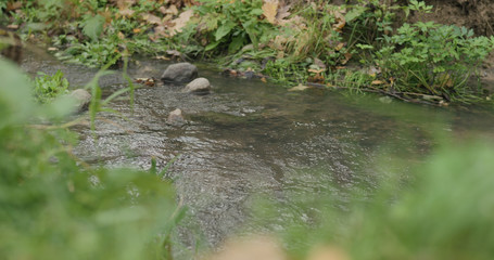 shot of a small water spring in autumn