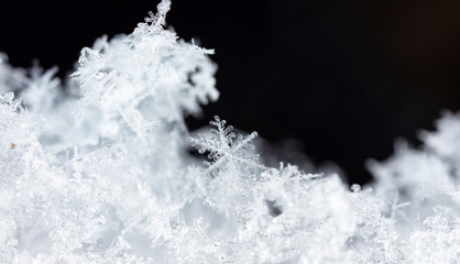 photo real snowflakes during a snowfall, under natural conditions at low temperature