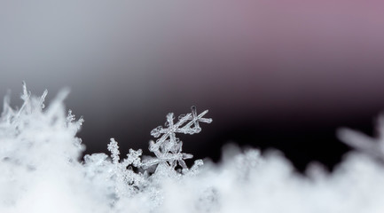 photo real snowflakes during a snowfall, under natural conditions at low temperature