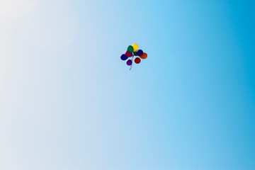 kite in the sky