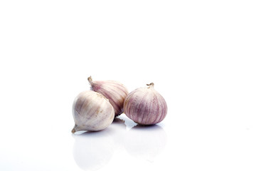 Elephant Garlic (Allium ampeloprasum), garlic variety
