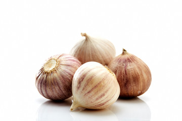 Obraz premium Elephant Garlic (Allium ampeloprasum), garlic variety