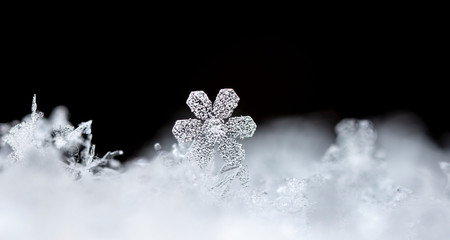 photo real snowflakes during a snowfall, under natural conditions at low temperature