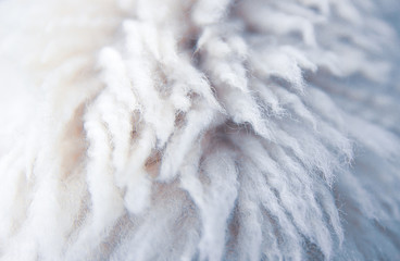 White wool texture background, cotton wool, white natural sheep wool.