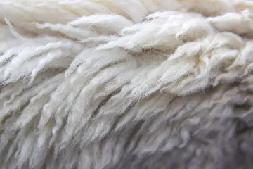 Selbstklebende Fototapeten White wool texture background, cotton wool, white natural sheep wool. © EUDPic
