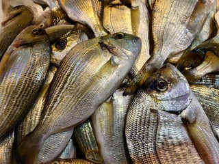 fresh fish on the market counter at Ksadasi, Turkey