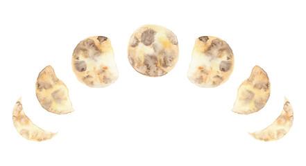 Watercolor moon phases isolated on white background modern space design