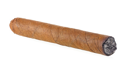 Big cigar isolated on a white background, side view.