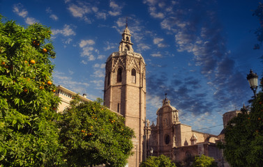 Fototapeta na wymiar Catedral de Valencia España