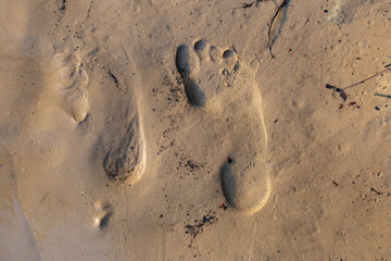 footprint of a human foot on a wet sandy shore